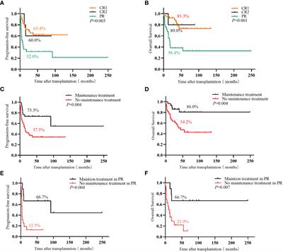 A retrospective study of autologous hematopoietic stem cell transplantation for peripheral T-cell lymphoma: pre-transplant patients with partial remission benefit from post-transplant maintenance therapy